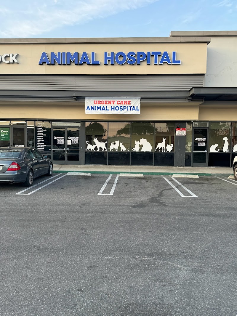 Urgent Care Animal Hospital