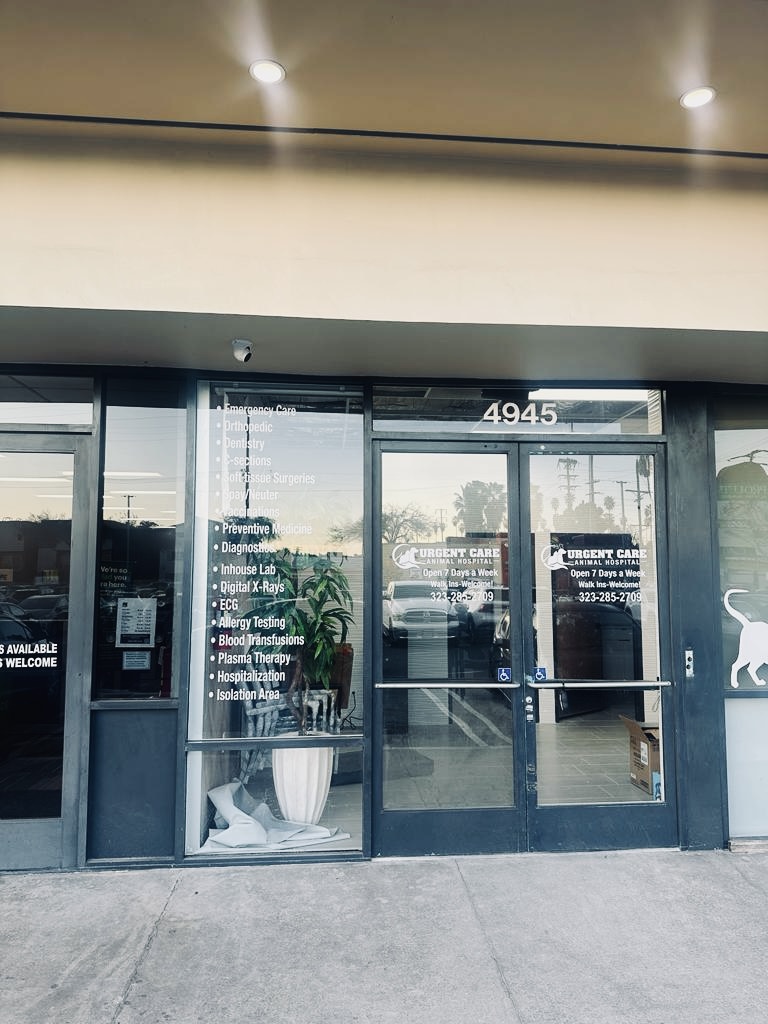 Urgent Care Animal Hospital