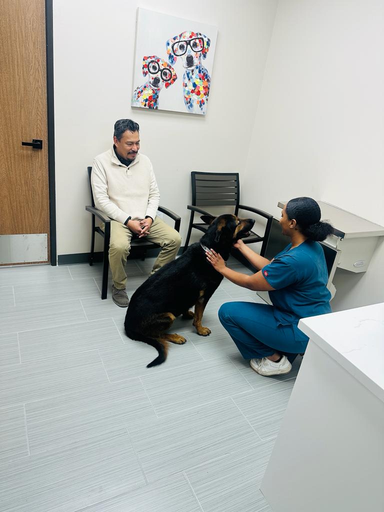 Urgent Care Animal Hospital