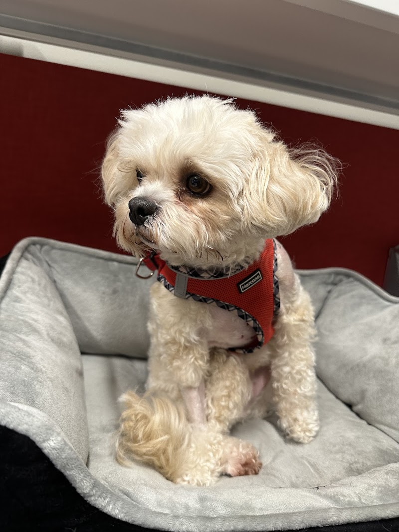 Pearland 288 Animal Emergency Clinic of Silverlake