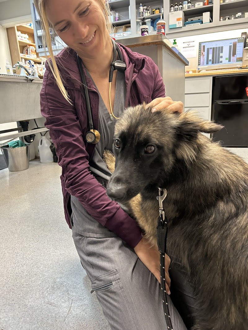 ABC Veterinary Hospital Pacific Beach