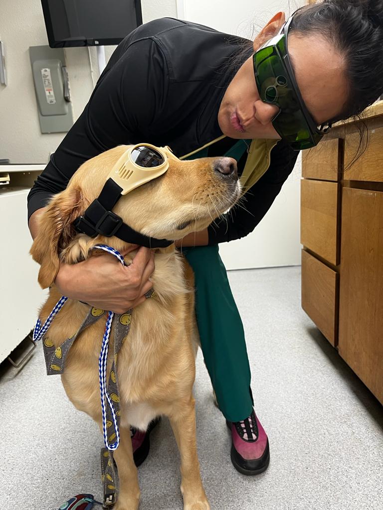 ABC Veterinary Hospital Pacific Beach