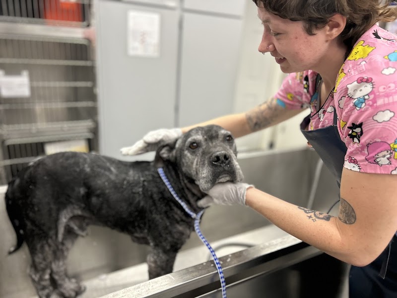 ABC Veterinary Hospital Pacific Beach