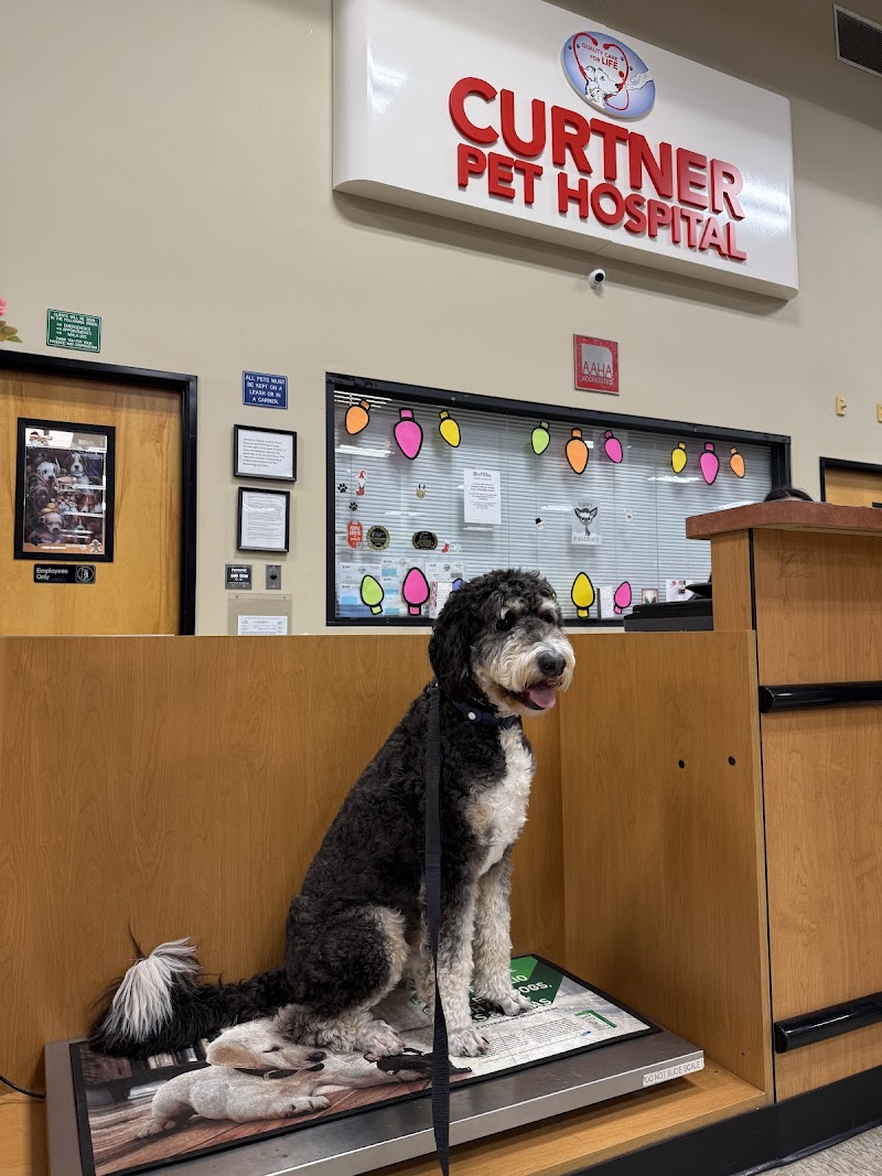 Curtner Pet Clinic & Hospital