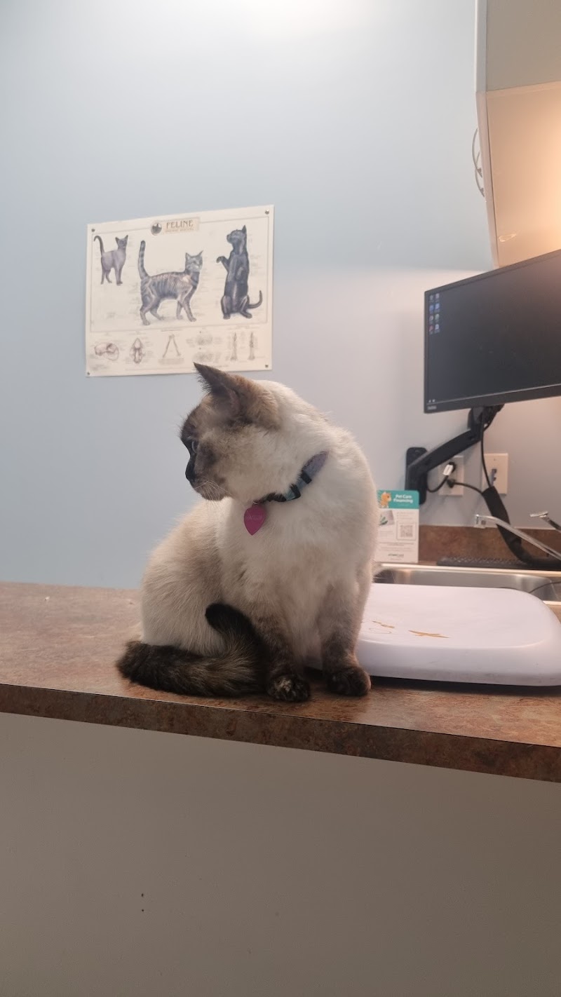 Curtner Pet Clinic & Hospital