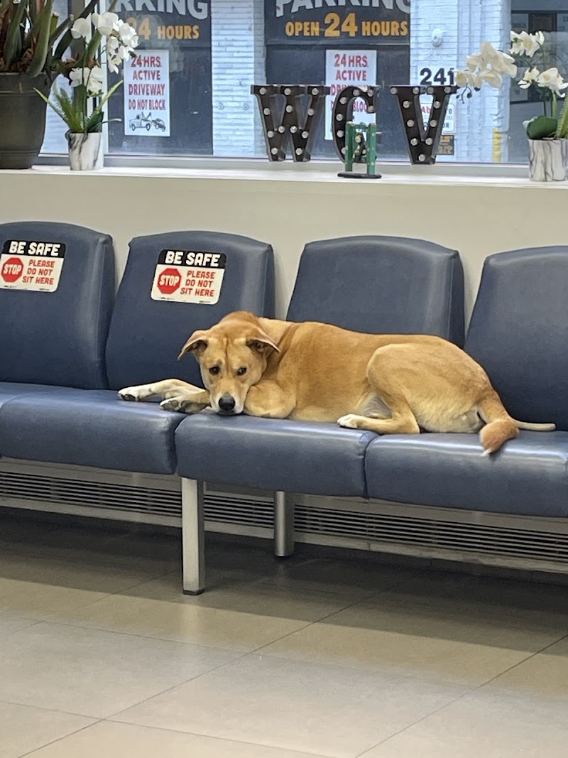West Chelsea Veterinary