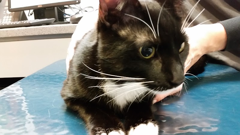 West Chelsea Veterinary