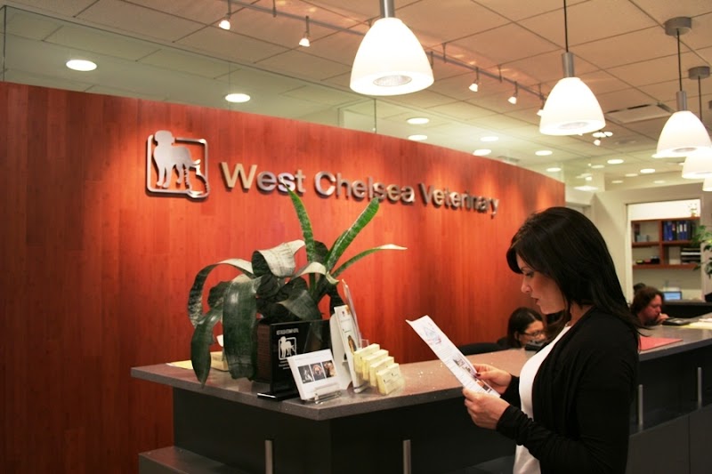 West Chelsea Veterinary