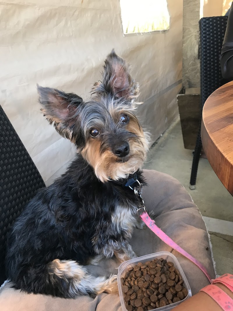 VCA Almaden Valley Animal Hospital