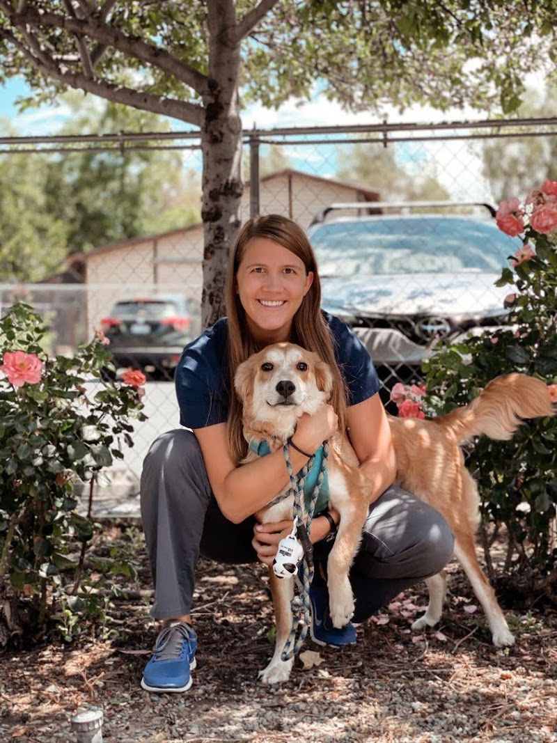 VCA Almaden Valley Animal Hospital