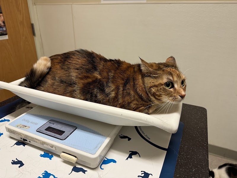 VCA Almaden Valley Animal Hospital