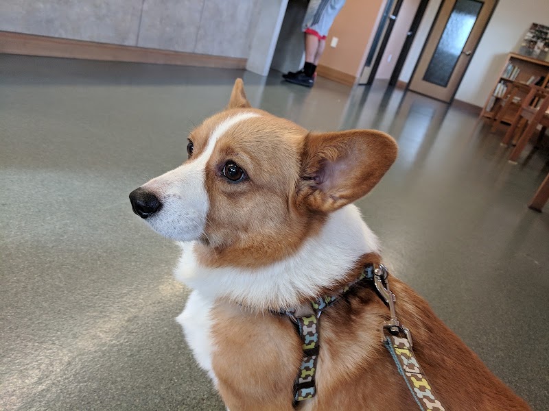 Cedar Mill Veterinary Hospital - Portland