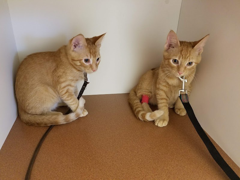 Cedar Mill Veterinary Hospital