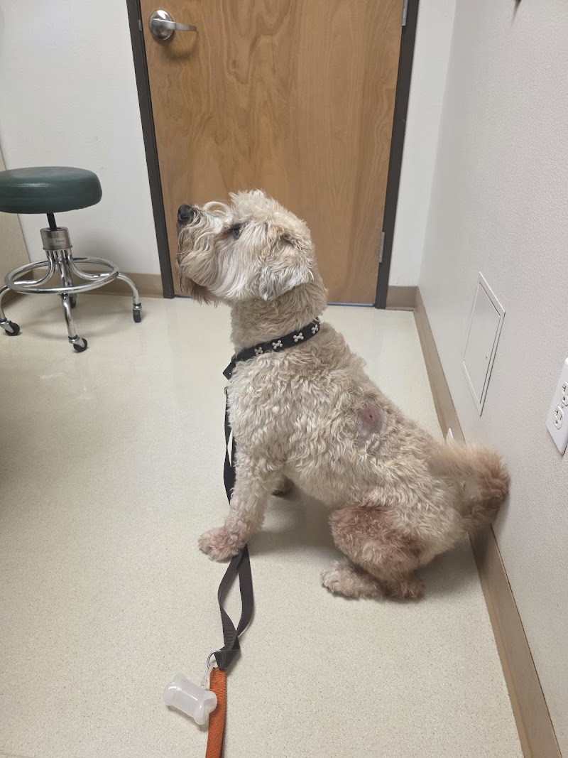 Cedar Mill Veterinary Hospital