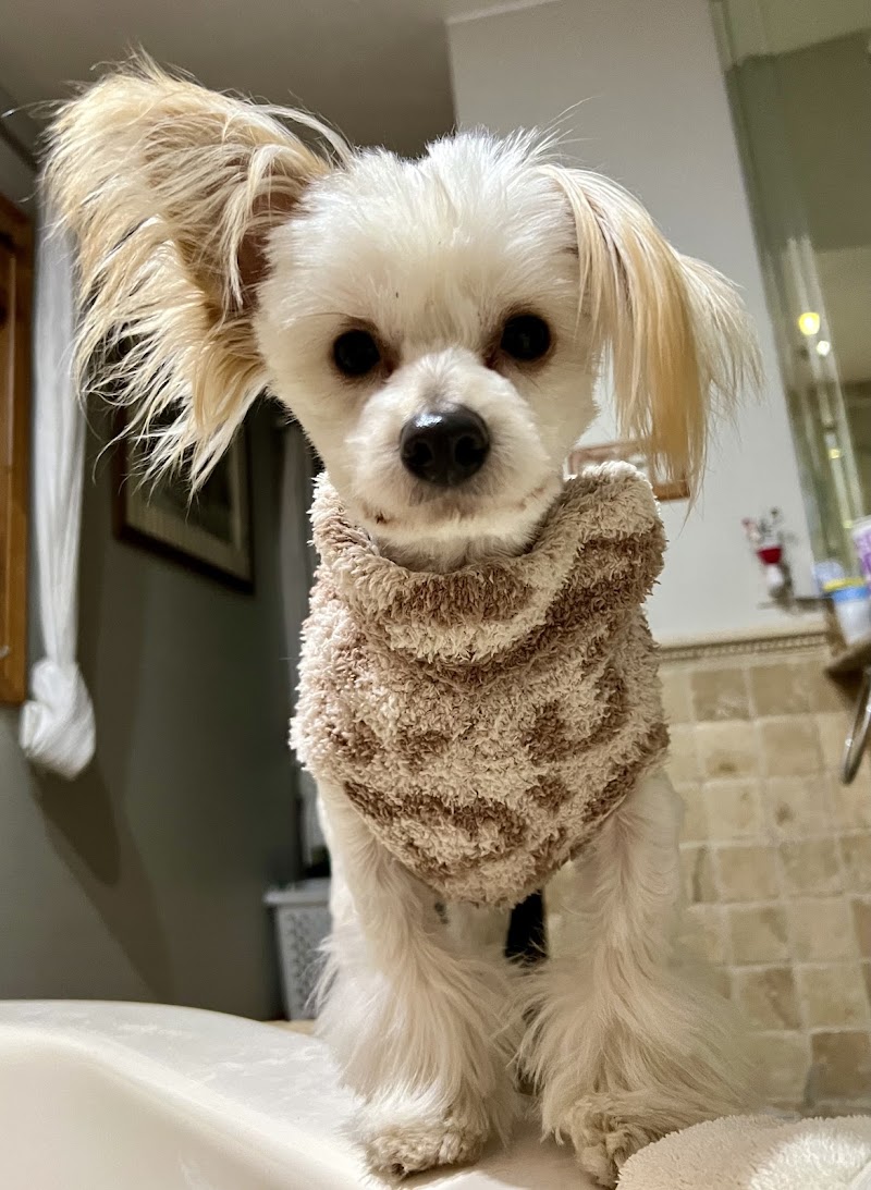 Veterinary Diagnostic Centers-Orland Park, IL