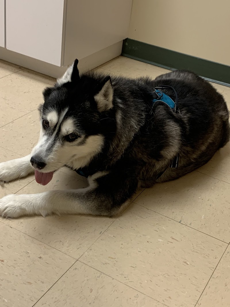 Veterinary Diagnostic Centers-Orland Park, IL