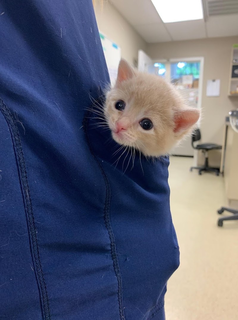 Heights Hospital for Animals