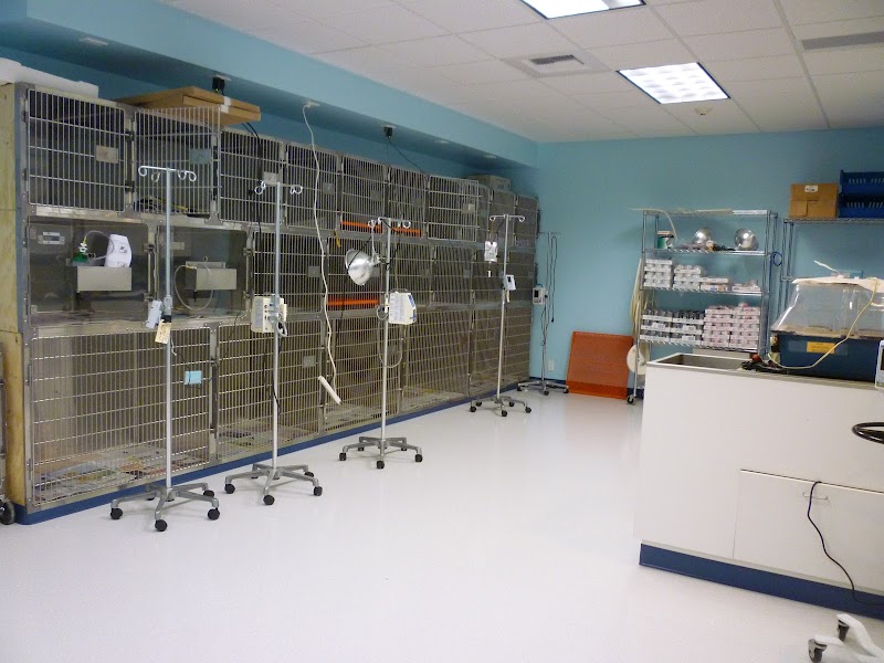 Affordable Animal Emergency Clinic