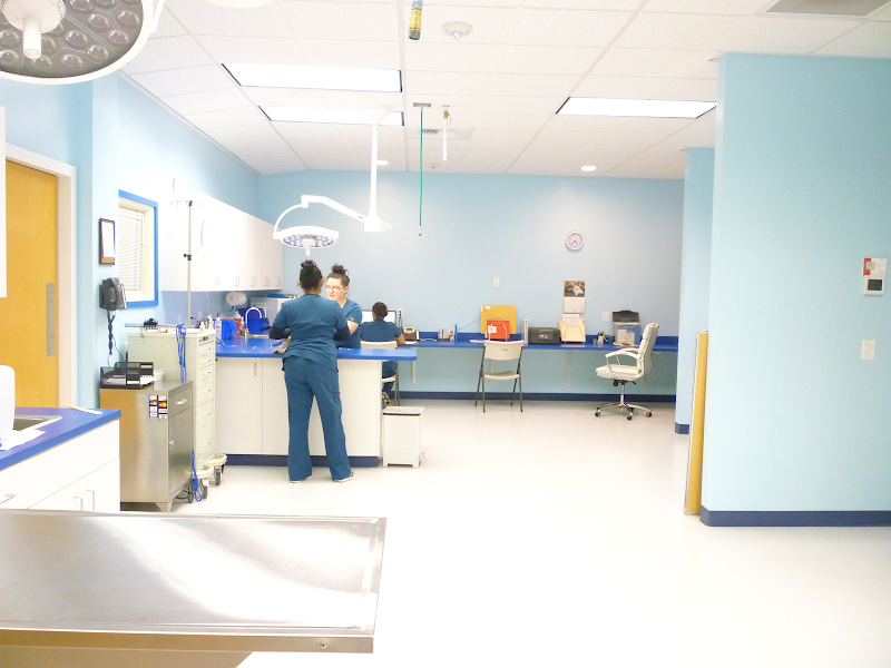 Affordable Animal Emergency Clinic