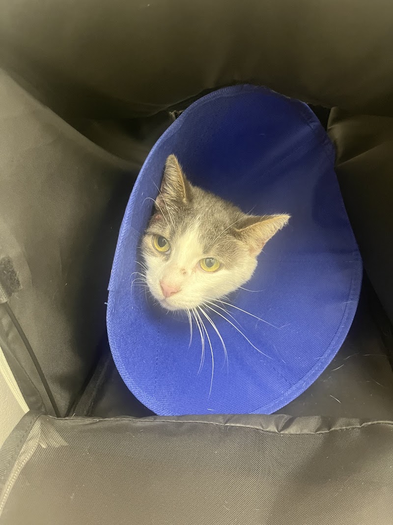 Berkeley Animal Hospital