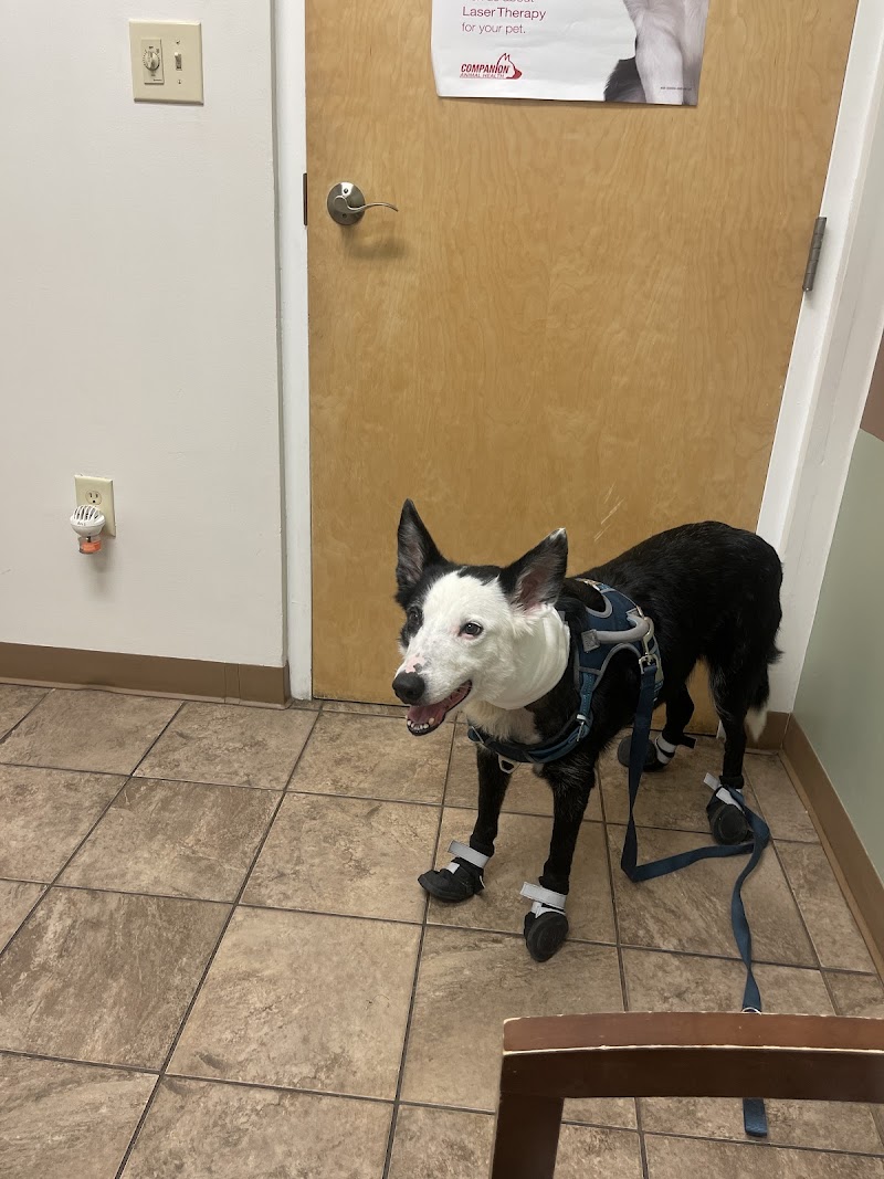 VCA Briarcliff Animal Hospital