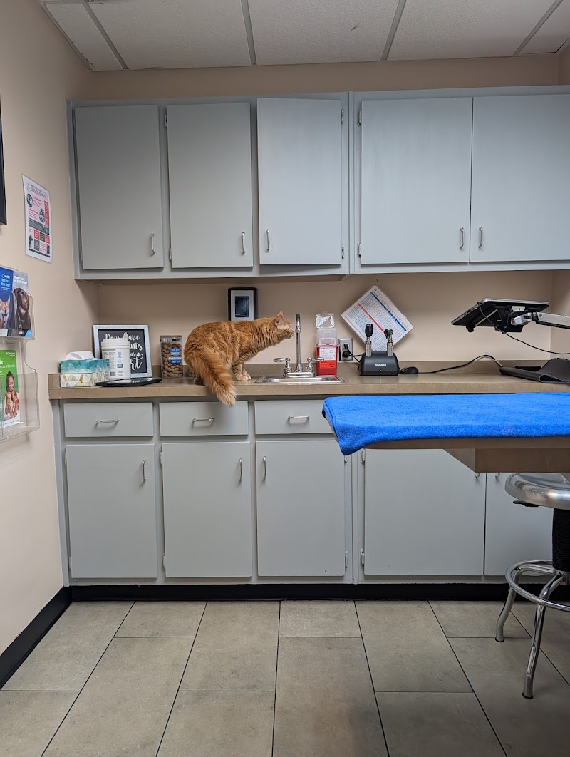 VCA Briarcliff Animal Hospital