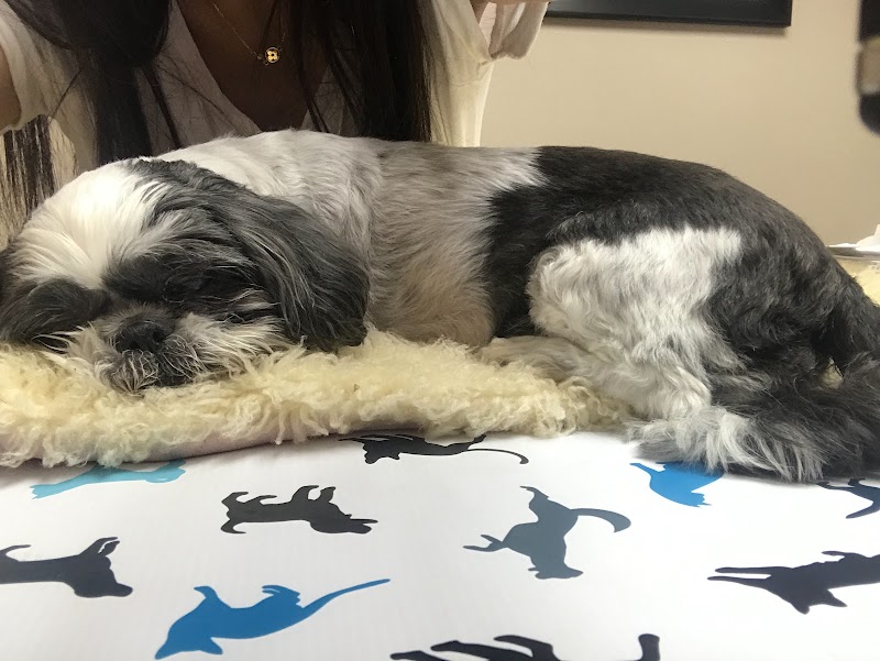VCA Briarcliff Animal Hospital