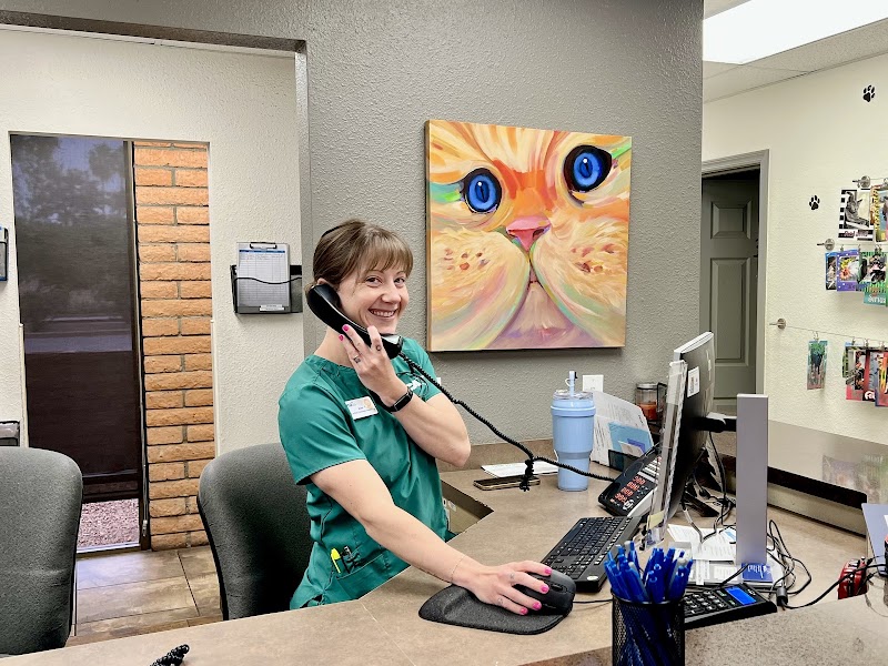 VCA McCormick Ranch Animal Hospital and Emergency Center