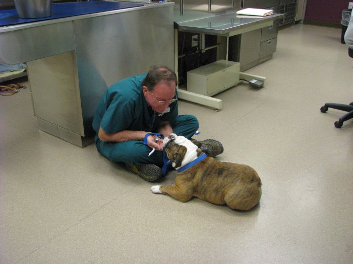 VCA McCormick Ranch Animal Hospital and Emergency Center