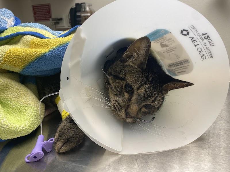 VCA McCormick Ranch Animal Hospital and Emergency Center