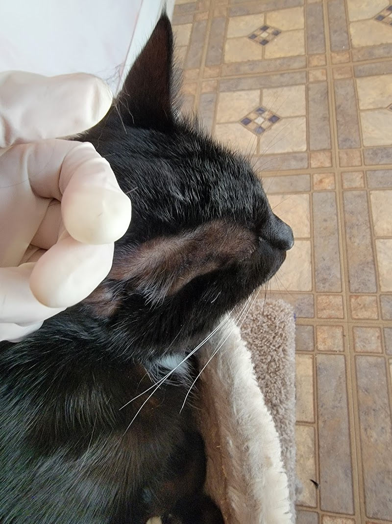 VCA Animal Emergency Hospital Southeast