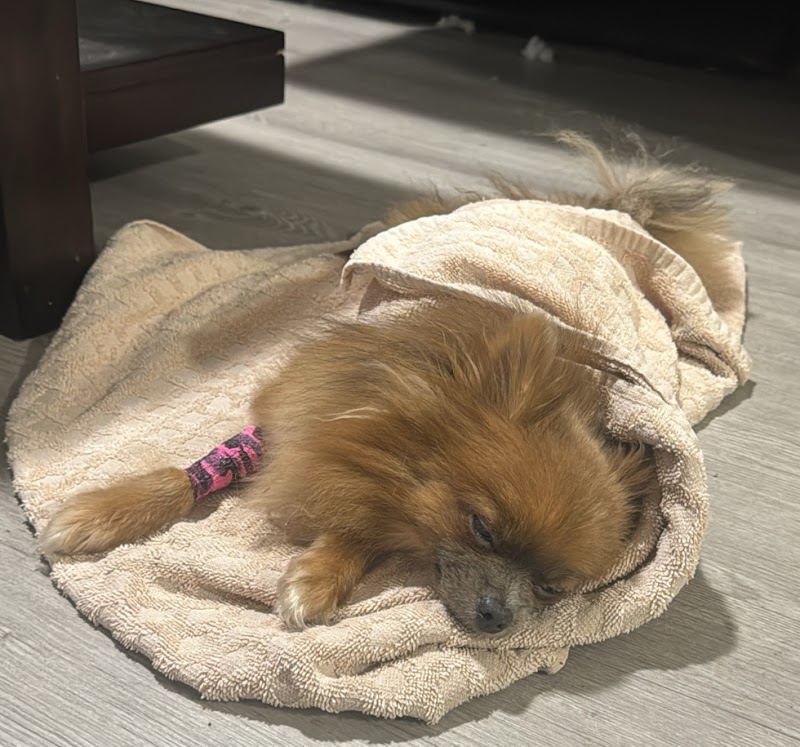 VCA Animal Emergency Hospital Southeast