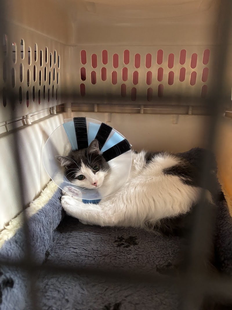 VCA Animal Emergency Hospital Southeast