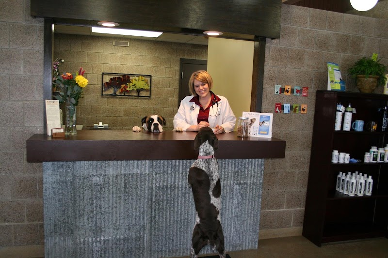 Northwest Animal Hospital