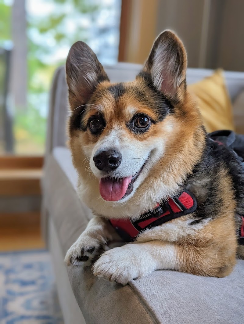 Northwest Animal Hospital