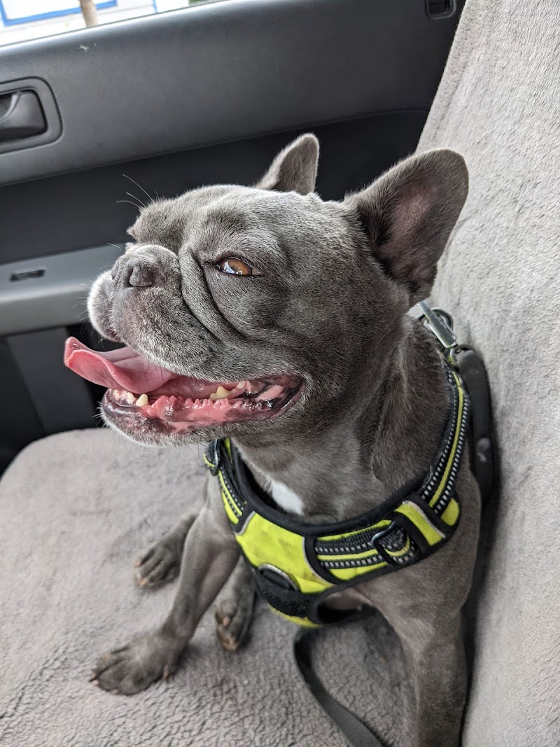 Northeast Veterinary Hospital