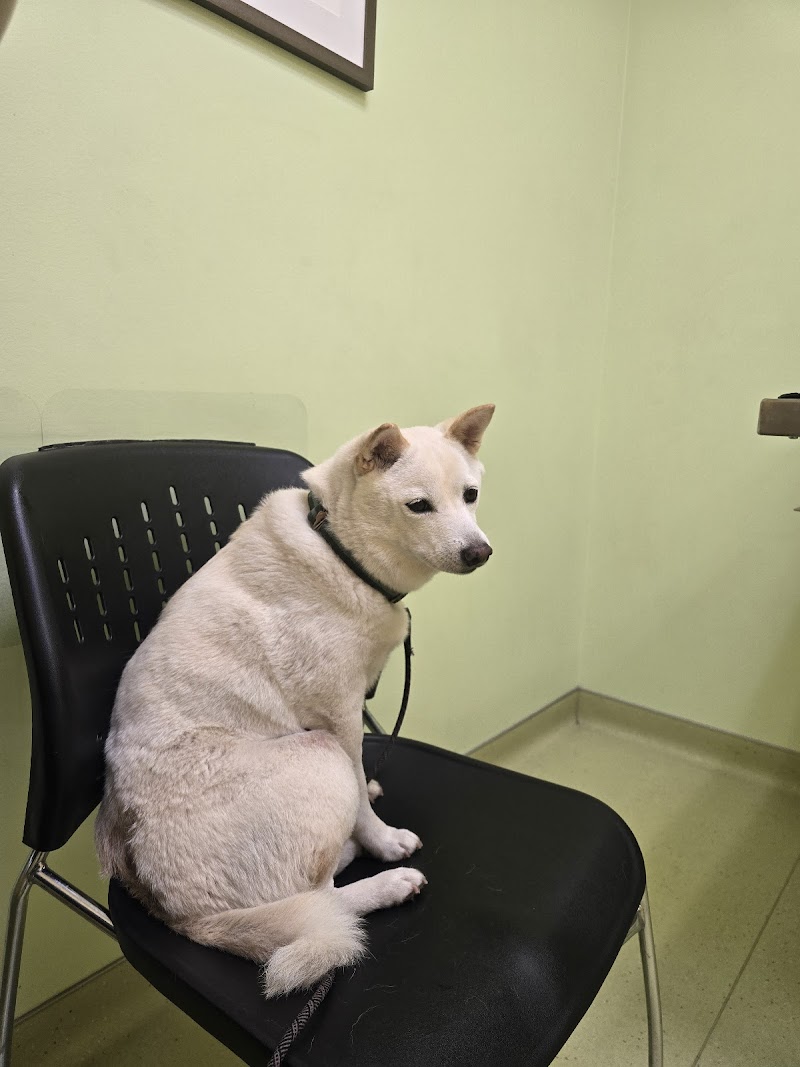 All God's Creatures Animal Hospital