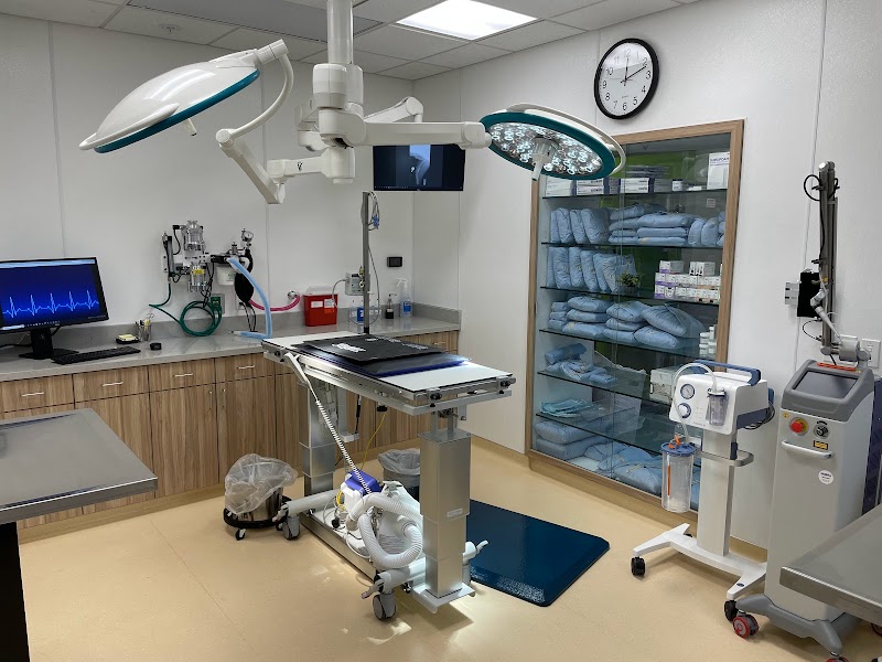 All God's Creatures Animal Hospital