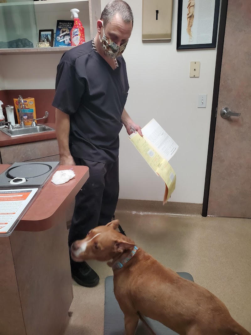 Pasternak Veterinary Center