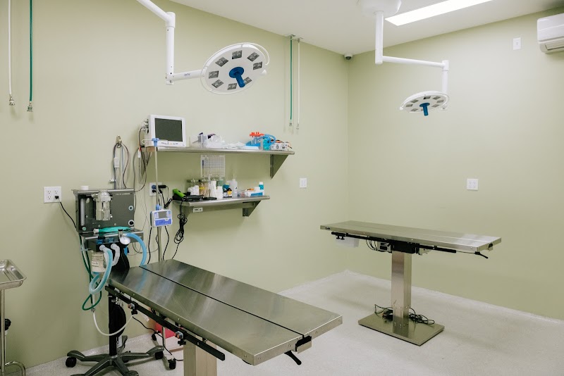 InstaVet Urgent Care & Wellness Animal Hospital - LIC Queens Pet Surgery Medical Center