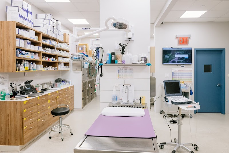 InstaVet Urgent Care & Wellness Animal Hospital - LIC Queens Pet Surgery Medical Center