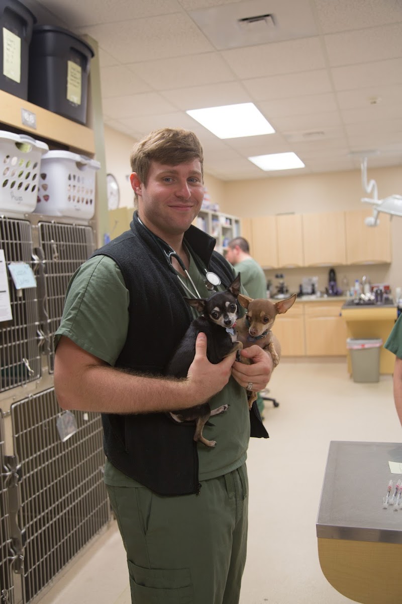 VCA Four Seasons Animal Hospital