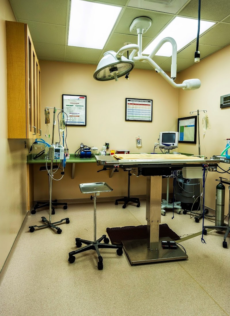 VCA Four Seasons Animal Hospital