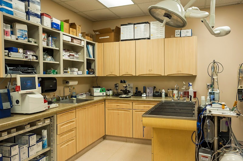 VCA Four Seasons Animal Hospital