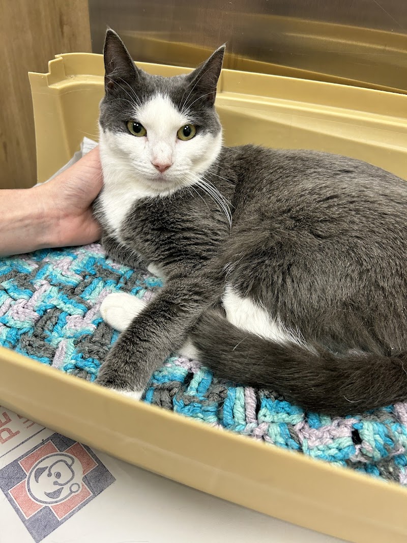Pet Check Urgent Care