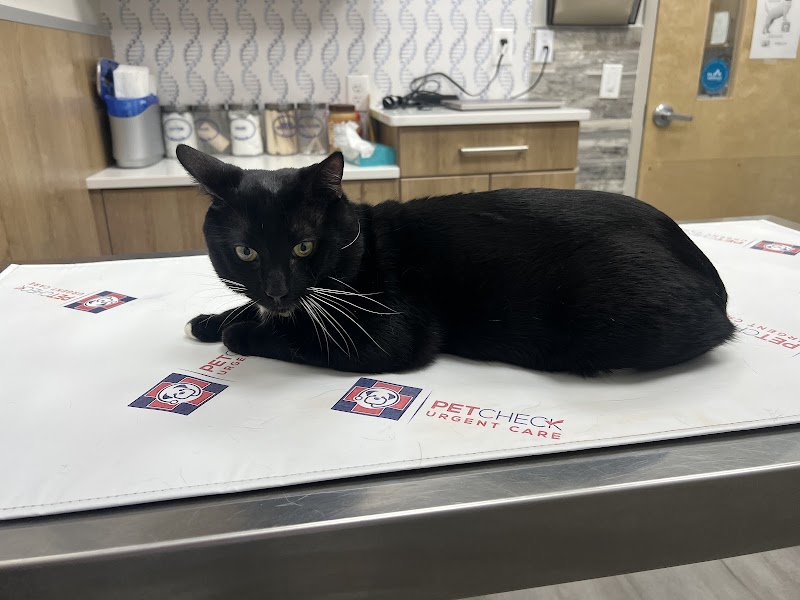 Pet Check Urgent Care