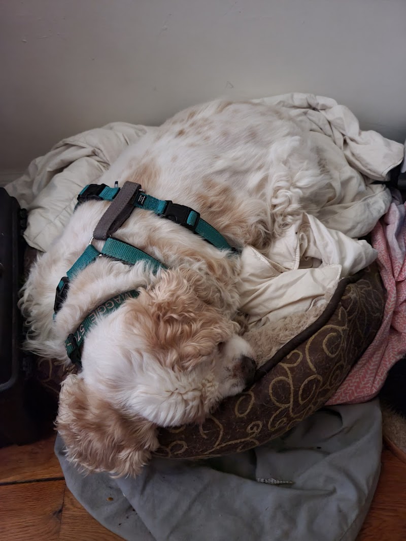 Liberty Veterinary Clinic