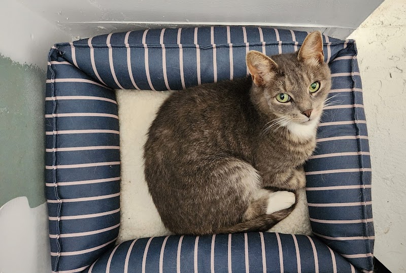Liberty Veterinary Clinic