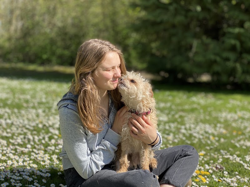 Fern Hill Veterinary Care