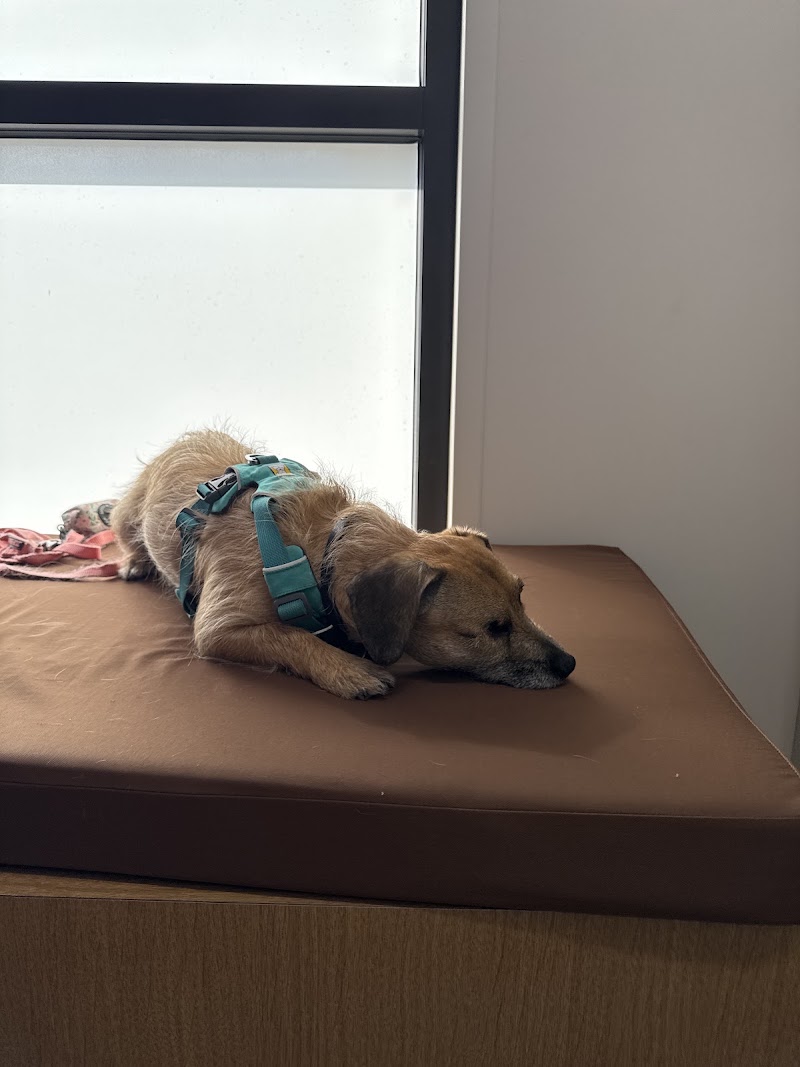 Fern Hill Veterinary Care